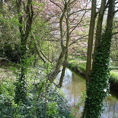 Les Vallees Du Guyoult Dol-de-Bretagne Eksteriør bilde