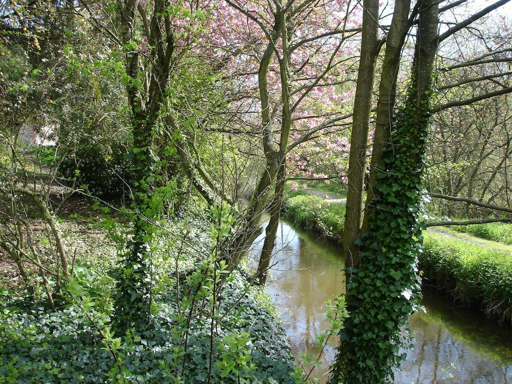 Les Vallees Du Guyoult Dol-de-Bretagne Eksteriør bilde