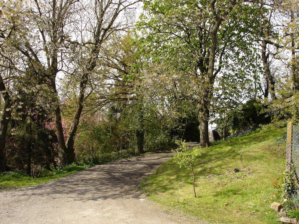 Les Vallees Du Guyoult Dol-de-Bretagne Eksteriør bilde